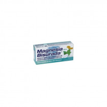 Magnesia Bisurada Pfizer C/40 Past